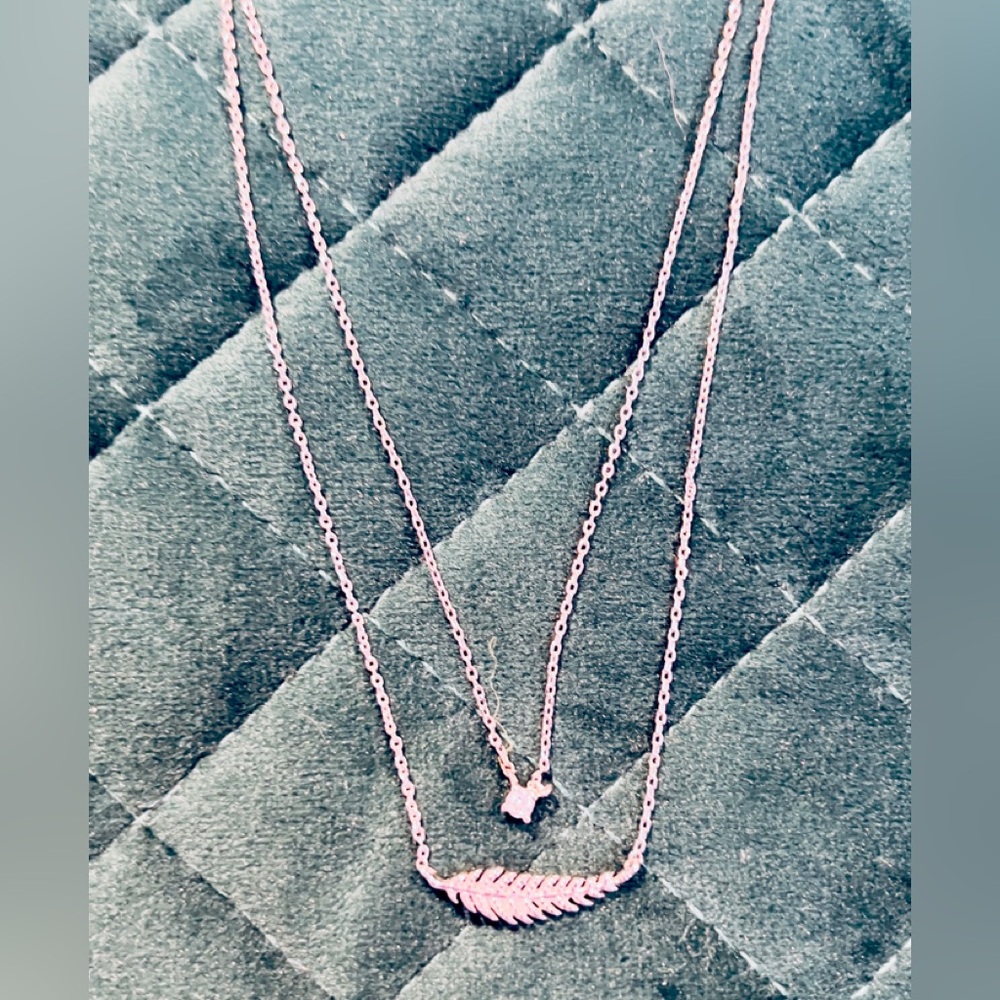 NWT Francesca’s Elegant Silver Feather Necklace with CZ Pendant!